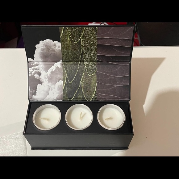 Lake & Skye 11 11 Wild Grass Santal Gray Candle Set - Picture 3 of 5